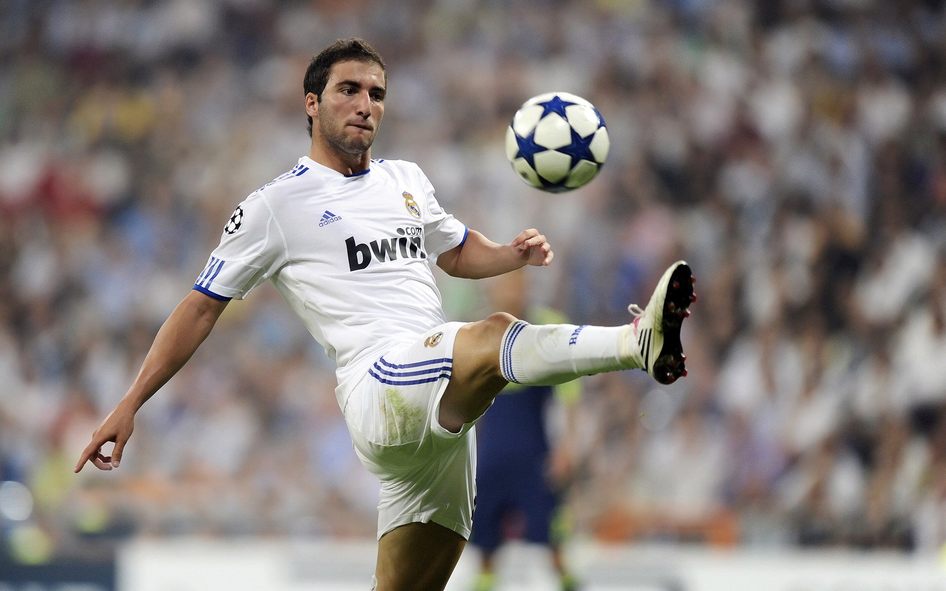 FIBA 社会项目支持阿尔及利亚篮球发展，阿尔及利亚男篮